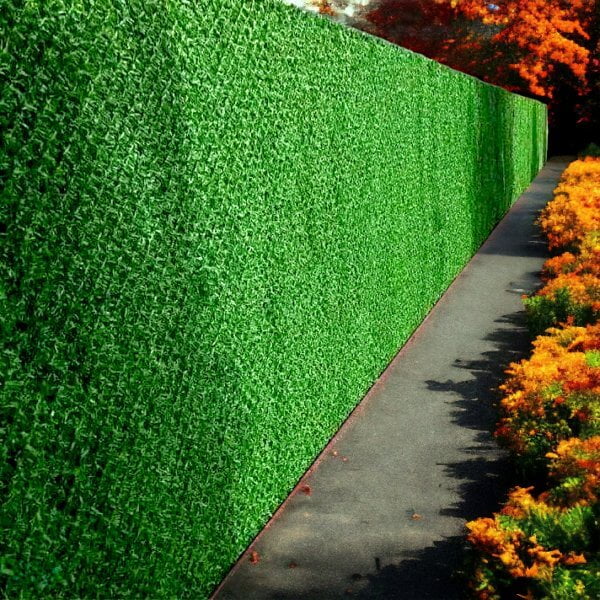 Wood Fence Covered