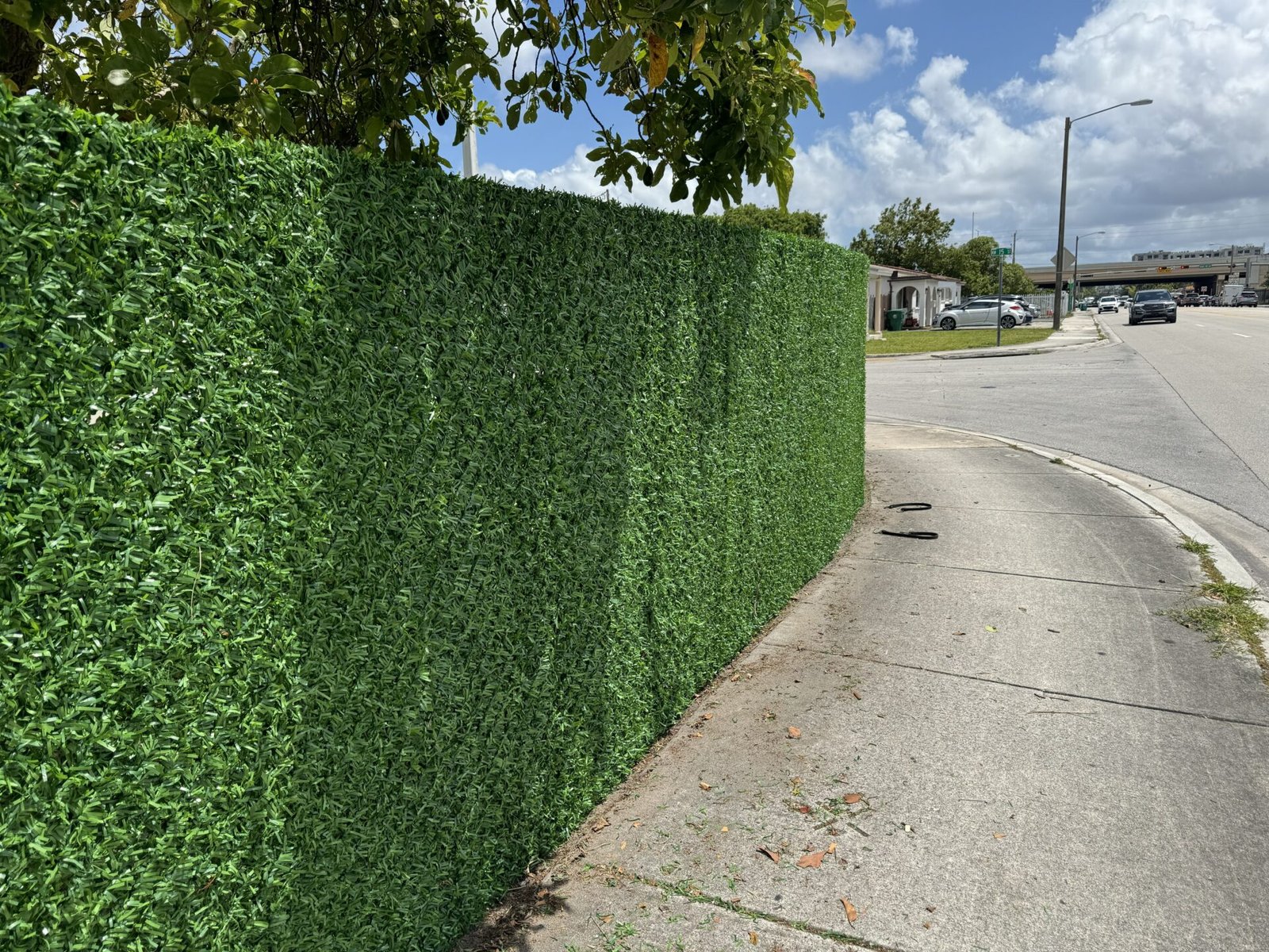 37avside1 My Dolce Green