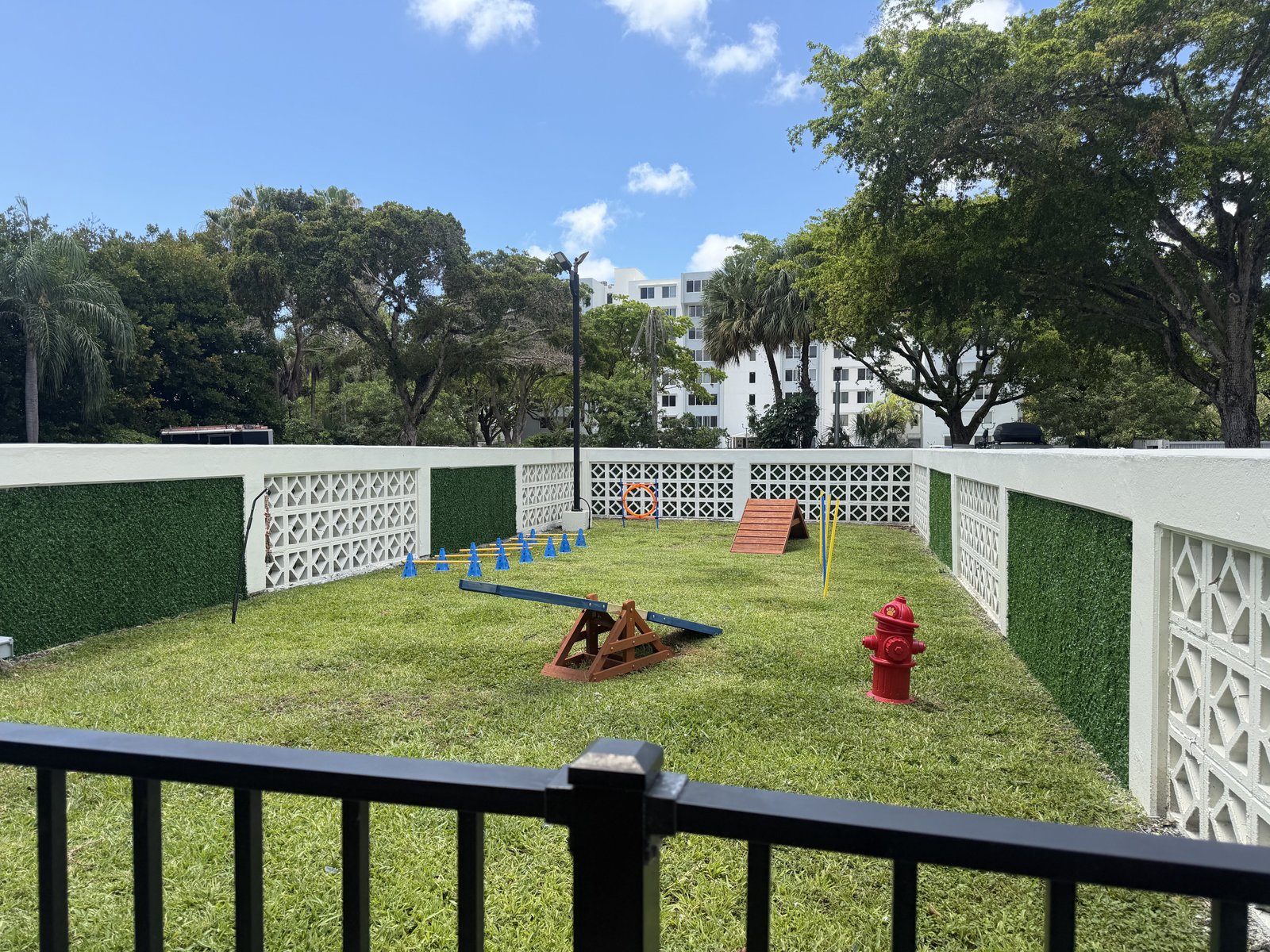 Dog Park