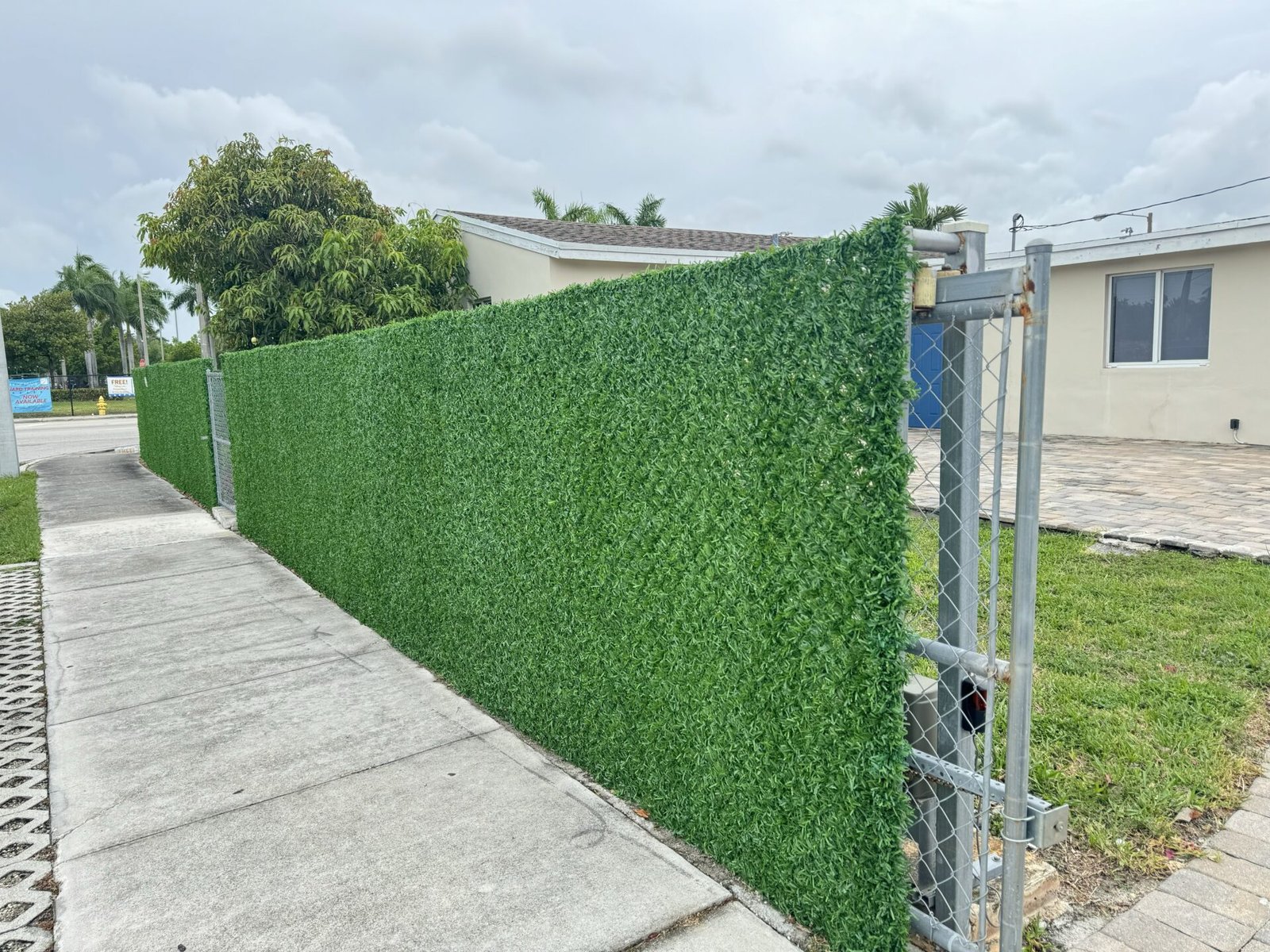 gate1 My Dolce Green